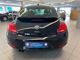 Volkswagen Beetle Lim. - Volkswagen Beetle: Limousine