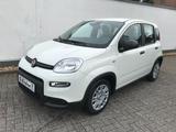 Fiat Panda 1.0 GSE Pandina Hybrid 2024 Sitzheizung - Fiat Panda Gebrauchtwagen in Aachen