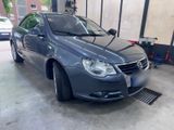 Volkswagen VW EOS 2.0 TDI Automatik - Volkswagen Eos: Auto