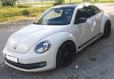 Volkswagen Beetle 2,0 TDI *Sport* Leder/Navi/Xenon/Panorama - Volkswagen Beetle Sport mit Diesel-Antrieb