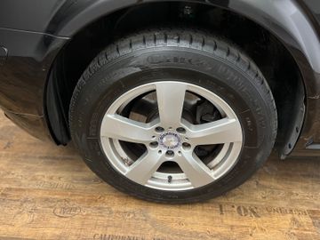 Mercedes Viano - 9