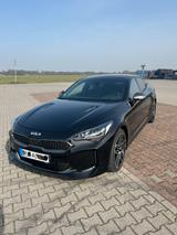 Kia Stinger 3.3 T-GDI AWD GT GT - Kia Stinger von privat