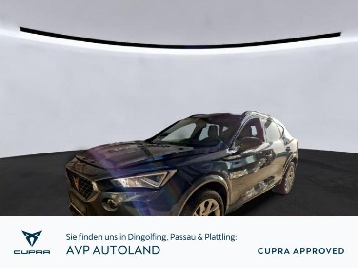 Cupra Formentor 2.0 TSI DSG 4Drive | NAVI | LED | AHK