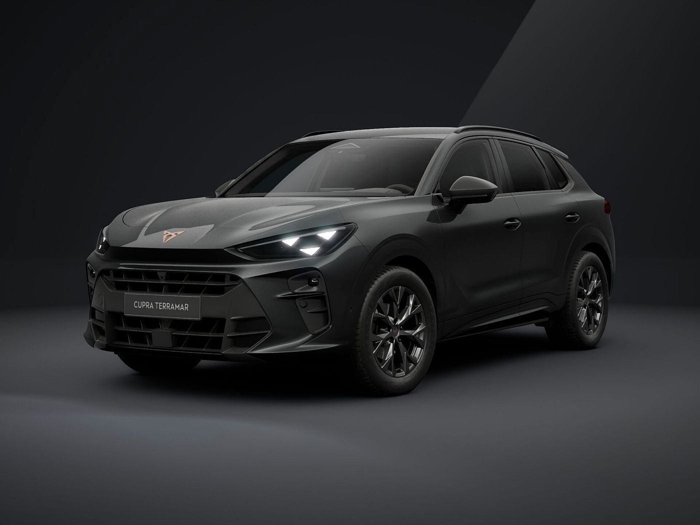 Cupra Terramar - Bild 2