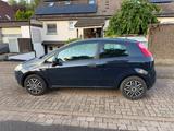 Fiat Punto 1.2 8V - - Fiat Punto in Hannover