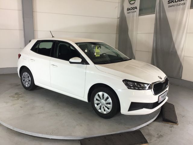 Fahrzeugabbildung Skoda Fabia Active 1.0 TSI PDC/SHZ/LED/SmartLink/DAB