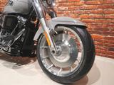 Harley-Davidson FLFB Fat Boy 2025 neu auf Lager - HARLEY-DAVIDSON TOURER