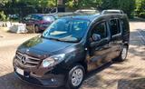 Mercedes-Benz Citan Rollstuhlgerecht m. elektr. Einzugwinde  - Behindertengerechte Mercedes-Benz Citan