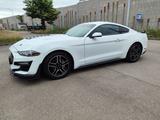 Ford Mustang 2.3 ecoboost - gebrauchte Ford Mustang aus dem Jahr 2023