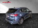 Ford Kuga ST-Line leichter Hagelschaden Sportpaket - Ford in Ratingen