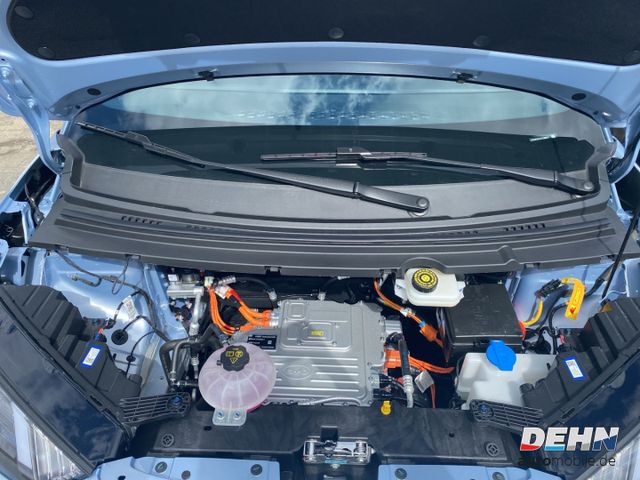 BYD Dolphin Surf Active
