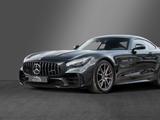 Mercedes-Benz AMG GT R Coupe Carbon Burmester Non-OPF - Mercedes-Benz AMG GT in Freiburg