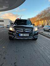 Mercedes-Benz GLK 220 CDI 4MATIC BlueEFFICIENCY - - Mercedes-Benz GLK 220 in Gelsenkirchen