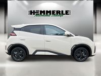 BYD DOLPHIN - Vorschau Bild 4