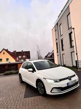 Volkswagen Golf 8 1,5 TFSI TOP in weis - Volkswagen Golf: Weis