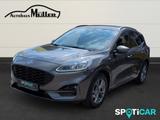 Ford Kuga Hybrid ST-Line X 2.0 EcoBlue Sportpaket AHK - Ford Kuga: Sport