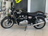 Triumph Thruxton 900 EFI / Service neu / nur 5.819 Km. - TRIUMPH THRUXTON 900