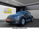 Volkswagen Käfer Beetle Cabriolet Design BMT Service-Neu - Volkswagen Käfer: Roadster