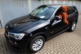 BMW X3 xDrive 20 i Advantage 1.Hand Orig.54.800km! - BMW X3 ADVANTAGE mit Benzin-Antrieb