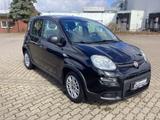 Fiat Panda 1.0 GSE Hybrid - gebrauchte Fiat Panda aus dem Jahr 2022