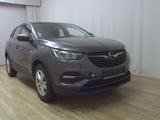 Opel Grandland X 1.2 Turbo Edition Navi LED DAB PDC - Opel Grandland (X) Gebrauchtwagen in Bremen