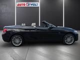 BMW 218i Cabrio Luxury Line LED Navi Tempomat Sitzhe - BMW Gebrauchtwagen in Halle