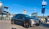 Alfa Romeo Stelvio Quadrifoglio Q4*Panoram... - Alfa Romeo Stelvio in Köln