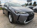 Lexus UX 250 h - Lexus aus 2021