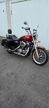 Harley-Davidson Sportster XL2 1200T Superlow - Angebote