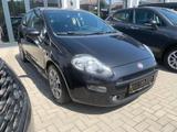 Fiat Punto Pop - Fiat Punto in Ludwigshafen