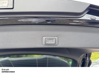 Cupra Terramar - Vorschau Bild 11