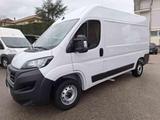 Fiat FIAT Ducato 33 2.2 Mjt 140CVMH2 Furgone - gebrauchte Fiat Ducato aus dem Jahr 2023