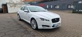 Jaguar XF 3.0 D - Jaguar XF in Hamburg