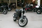 Benelli Leoncino 500 Trail,sofort lieferbar,Aktionspreis - BENELLI LEONCINO 500
