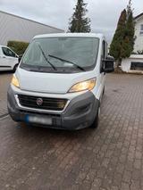 Fiat Ducato - Fiat Ducato in Freiburg