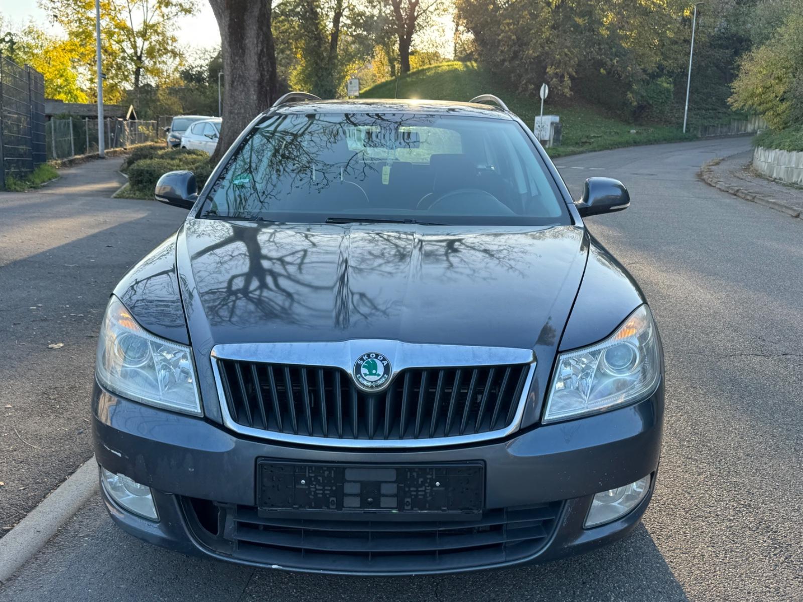 Skoda Octavia 2011 — вигляд ззаду