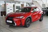 Lexus UX 250h Navi LED Kamera Lenkradhzg. - Lexus UX SUV