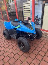 CFMOTO CFORCE 110 - CFMOTO CFORCE 110
