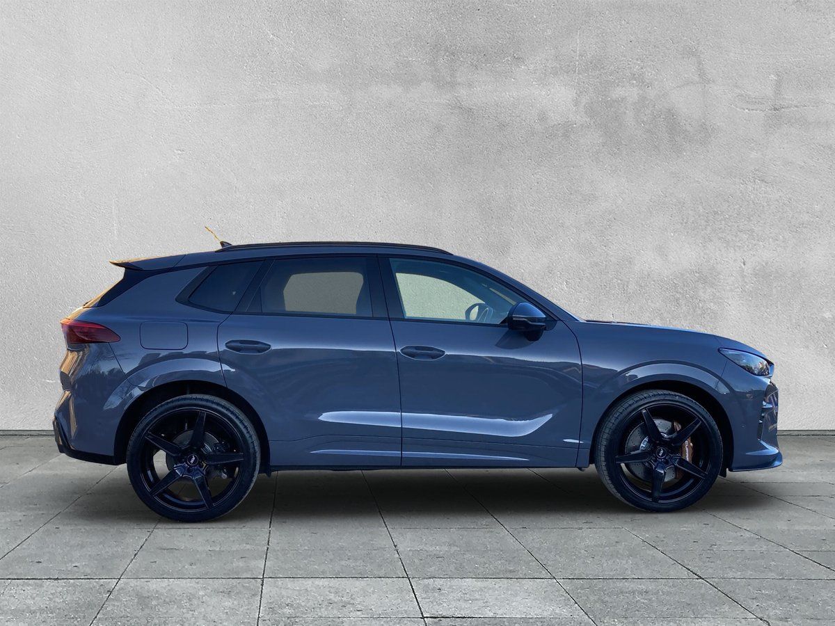 Cupra Terramar - Bild 6