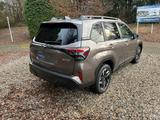 Subaru Forester Active Lineatrinoc - Subaru Forester Gebrauchtwagen