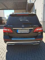 Mercedes-Benz ML 250 BlueTEC 4MATIC - (GLE) - Mercedes-Benz ML 250 aus 2015