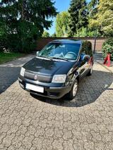 Fiat FIAT Panda / TÜV Neu / Allwetter Reifen ne... - Fiat Panda Gebrauchtwagen in Köln