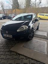 Fiat Punto 1.2 8V Actual Actual - Fiat Punto Gebrauchtwagen in Stuttgart