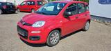Fiat Panda Pop - Fiat Panda POP mit Benzin-Antrieb