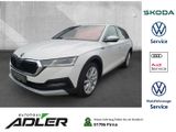 Skoda Octavia Combi Scout 4x4 2.0 TDI DSG Navi ACC Spu - Skoda Octavia mit Diesel-Antrieb: Scout