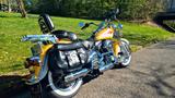 Harley-Davidson Heritage Softail Evolution - Offers