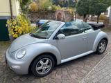Volkswagen VW New Beetle 1.6 Cabrio - gebrauchte VW New Beetle aus dem Jahr 2005