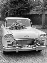 Andere Checker Marathon Hochzeit & Chauffeur  - Andere mit Benzin-Antrieb: Allwetterreifen