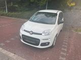Fiat New Panda 1.2 8V - Fiat New Panda aus 2017