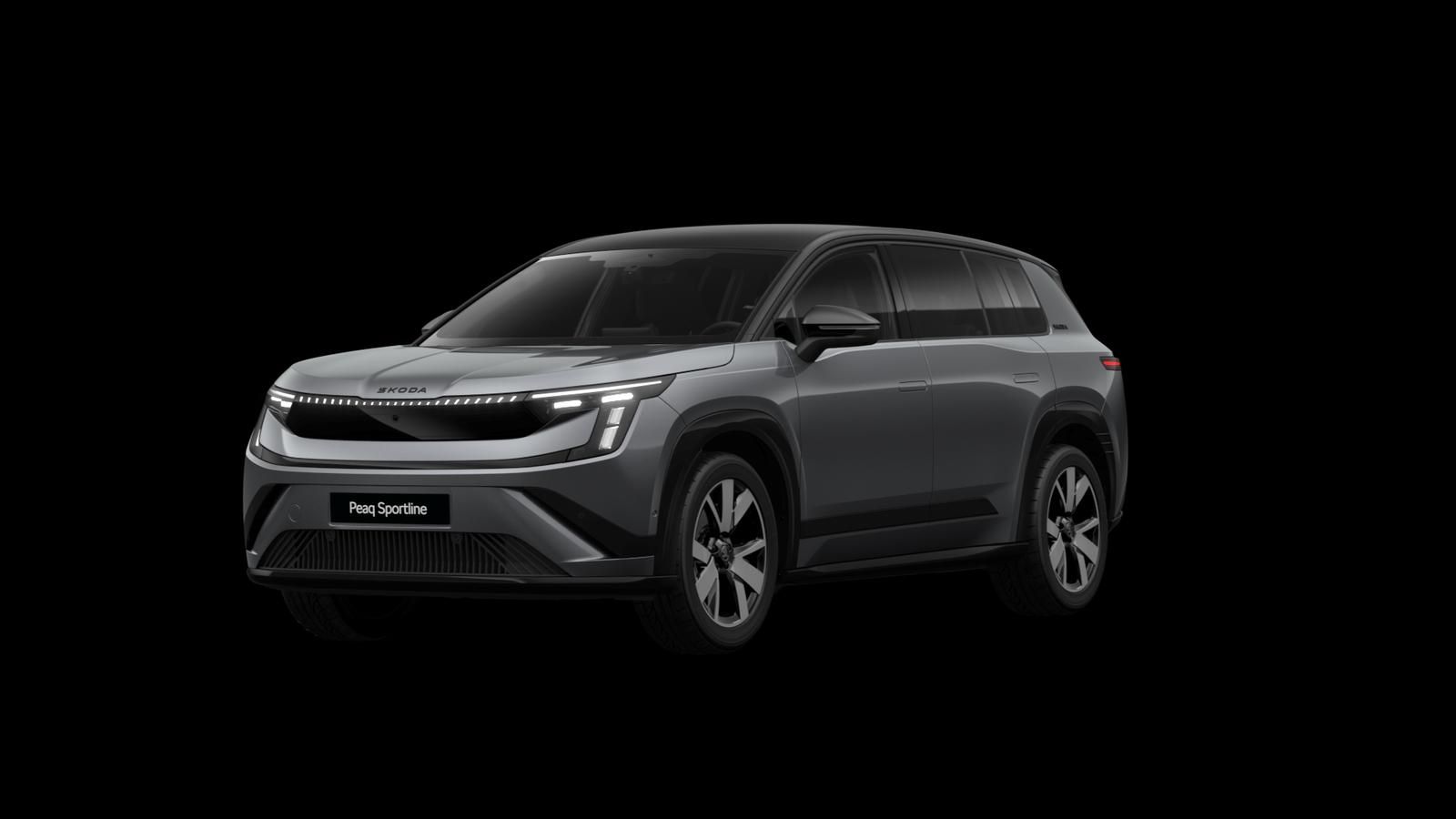 Skoda Andere - Bild 16